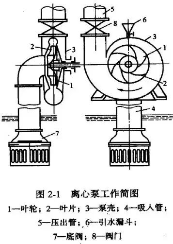 給（gei）水泵、給（ji）水泵別再傻傻分不清楚（內含動畫） 行業熱點 第4張