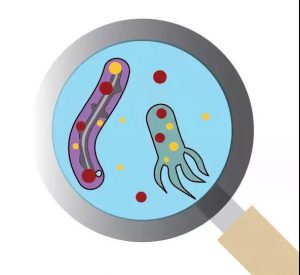 污水廠內的生物氣溶膠，污水從業人員必讀 新聞資訊 第3張