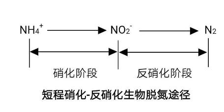 生化法除氨氮的技術匯總！ 新聞資訊 第3張