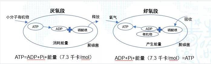 碳中和趨勢下污水處理節(jié)能降耗技術(shù)需求解讀 新聞資訊 第3張