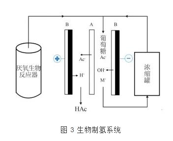 雙極膜電滲析技術的研究進展 新聞資訊 第3張