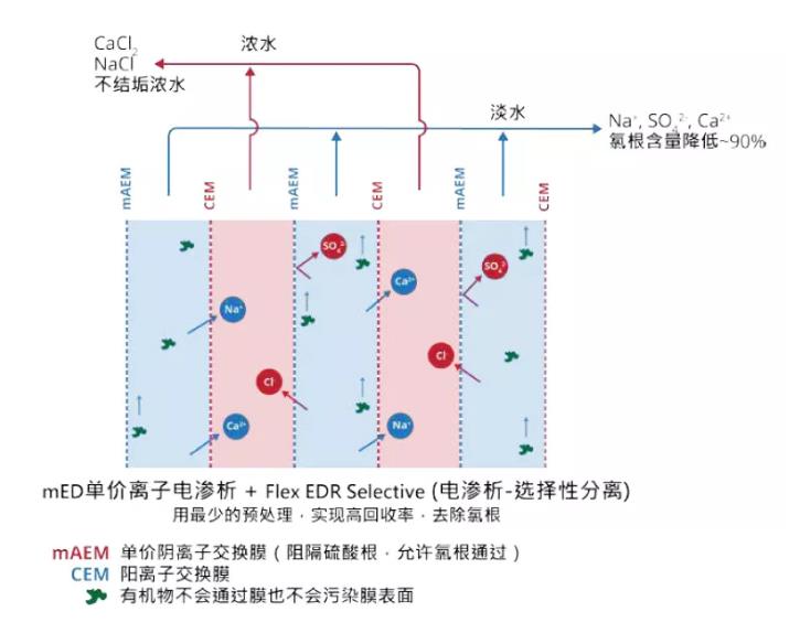 電滲析技術還能這么用！ 新聞資訊 第2張