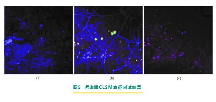 反滲透/納濾膜剖檢分析與膜污染診斷研究進展 新聞資訊 第8張