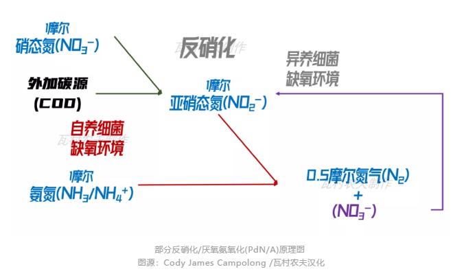 彎路變捷徑！美國首個(gè)主流anammox污水廠2023年面世？ 新聞資訊 第2張