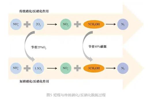 流體展|城鎮污水處理廠節能減碳實現路徑與技術探討 行業熱點 第7張